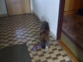 IMGP3454.JPG